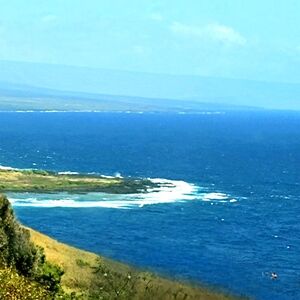 Meet your Posher, Anita